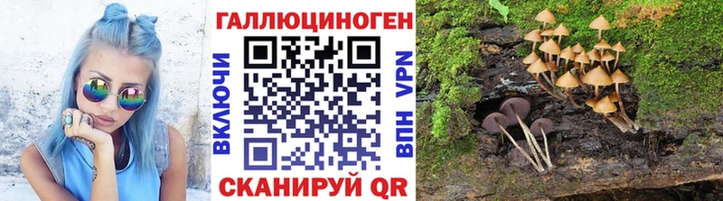 гидра зеркало  Волжск  Псилоцибиновые грибы GOLDEN TEACHER  где можно купить наркотик 